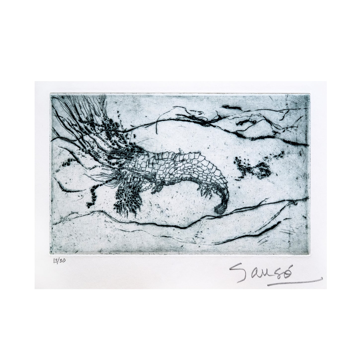 “Crevette” by Juvenal Sansó