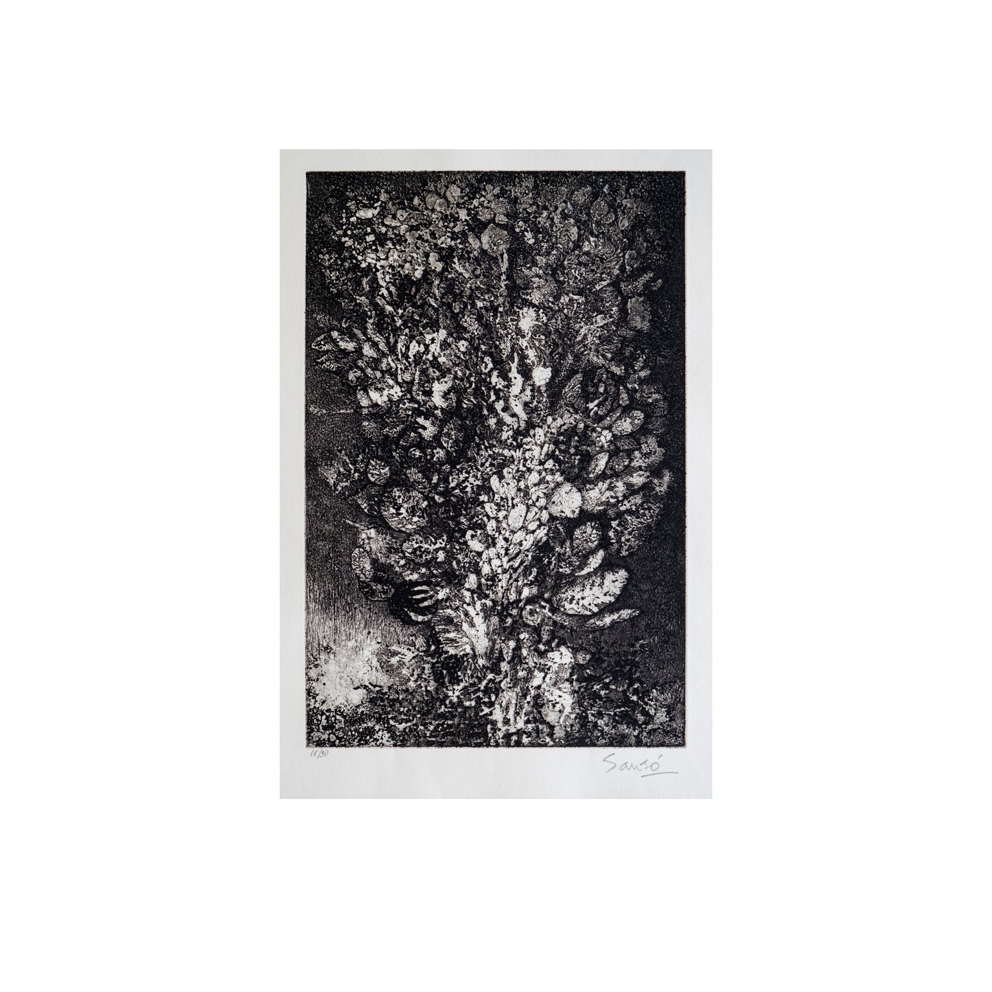 “Ramure” (Branches) by Juvenal Sansó