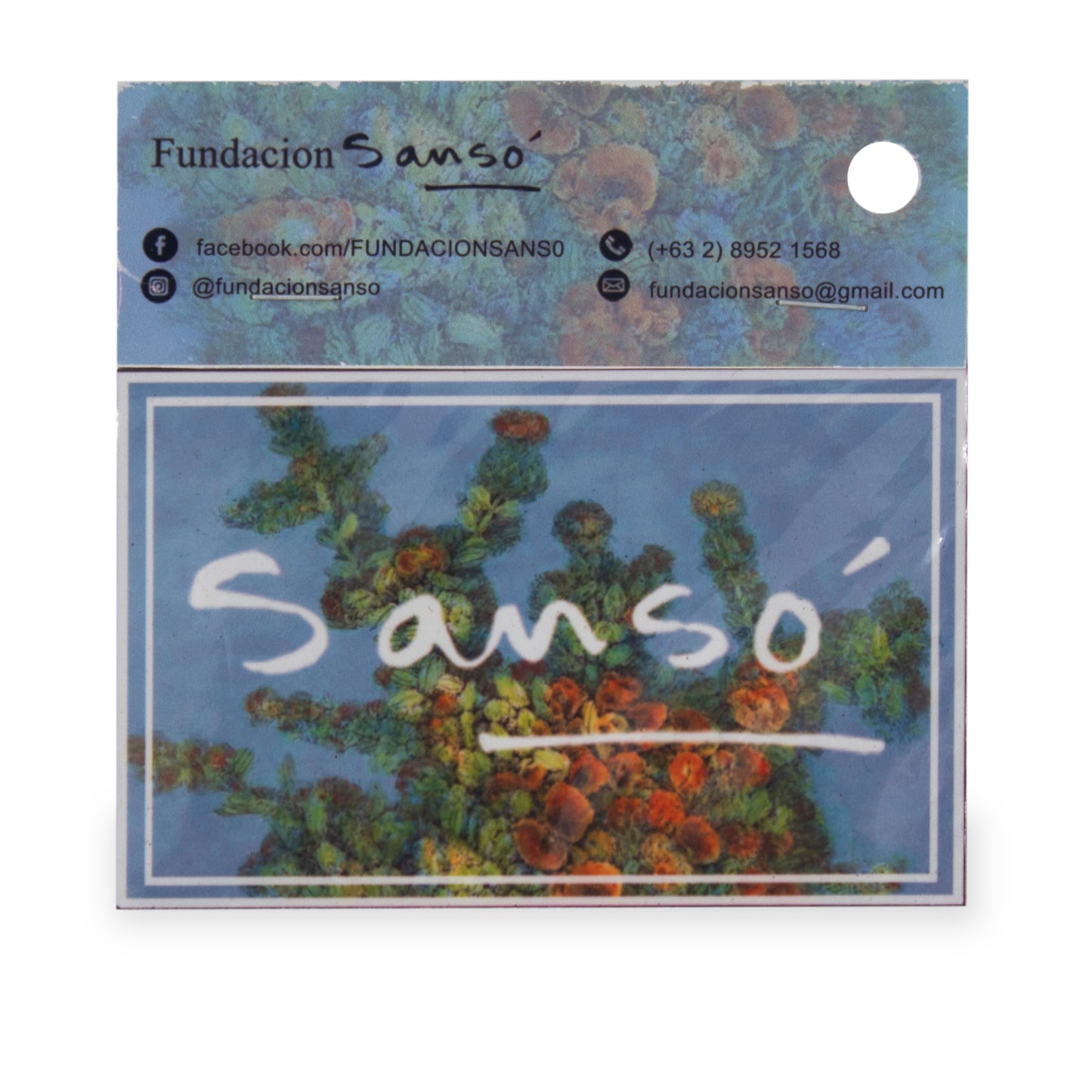 Magnet - Set of 4