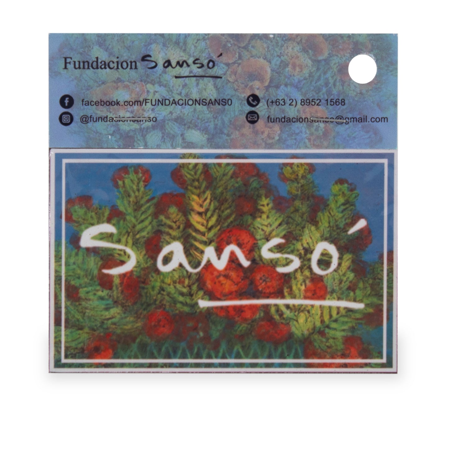 Magnet - Set of 4
