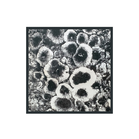 Black Bouquet by Juvenal Sansó - Silk Scarf